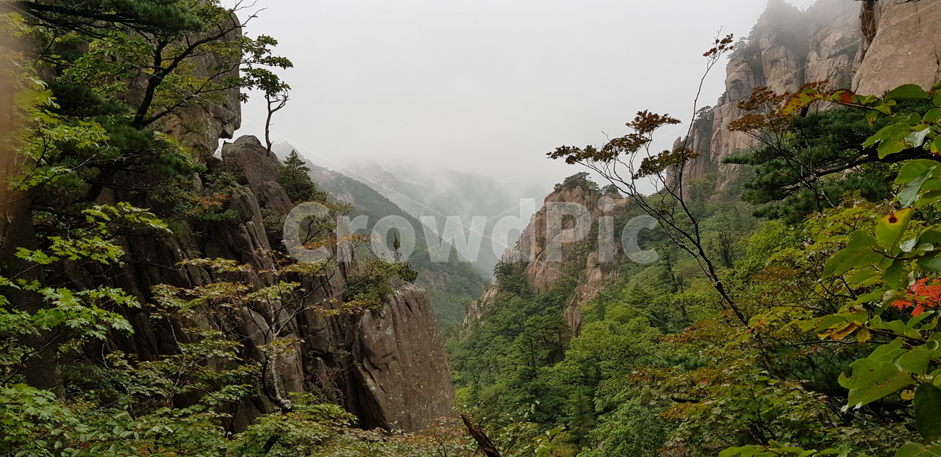 nature,자연,outdoors,옥외,낭떠러지,mountain,산,cliff,단풍,나무,잎,자연,풍경,nature,landscape
