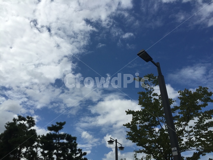 파란하늘,맑은날씨,가로등,구름,맑은하늘,자연,풍경,nature,landscape,lamp post,램프 포스트
