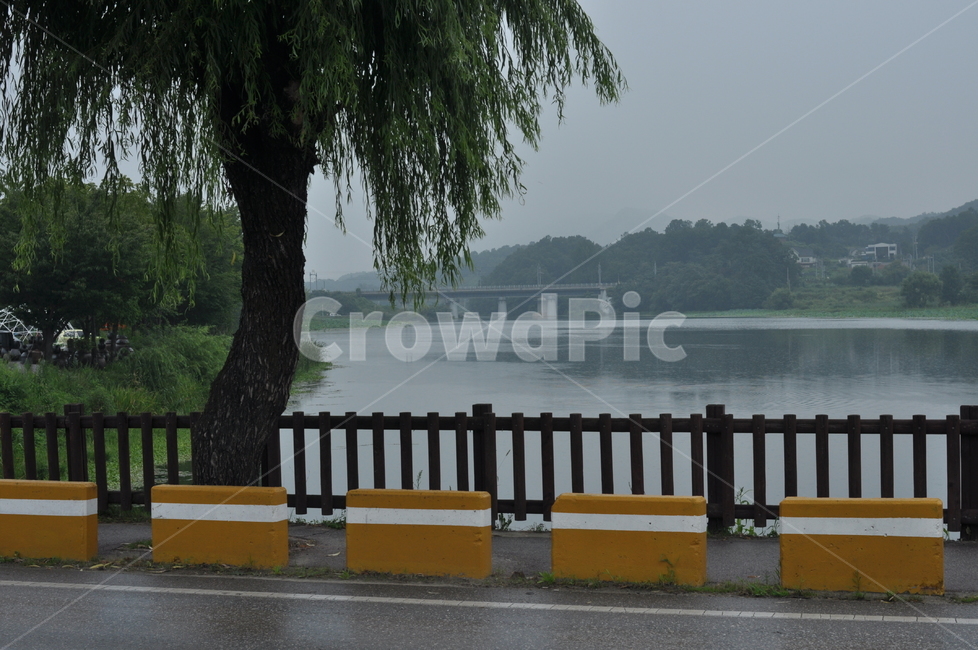 비,여름,나무,녹음,길,자연,풍경,nature,landscape,handrail,난간,banister,railing