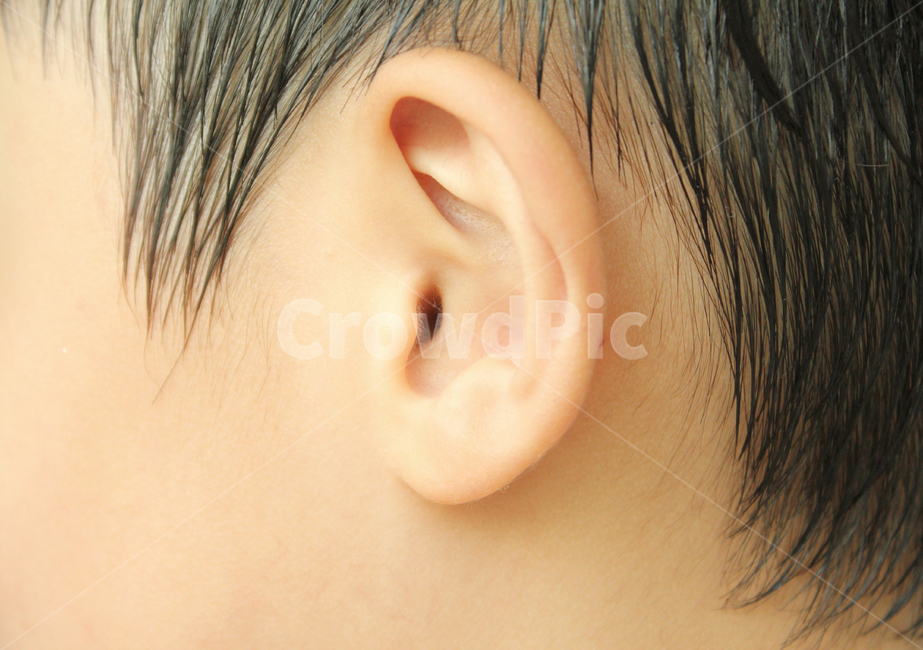 사람,어린이,아이,아동,신체,얼굴,귀,귓바퀴,옆모습,남자아이,동양인,남자,구렛나루,인물,신체부위,사람,인물,인간,human,person,신체일부,몸,body,어린이,어린아이,child,children,kid