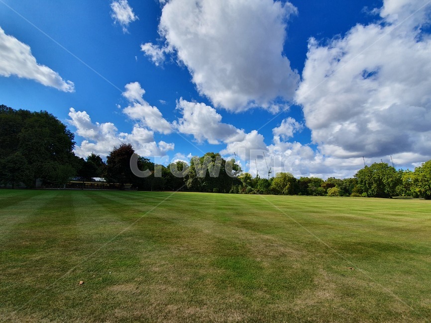 england,outdoors,식물,grass,잔디,field,들,plant,자연,풍경,nature,landscape,옥외