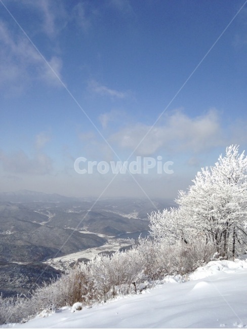 겨울,산,나무,설경,자연,풍경,겨울,계절,winter,season,자연,풍경,nature,landscape,outdoors,옥외