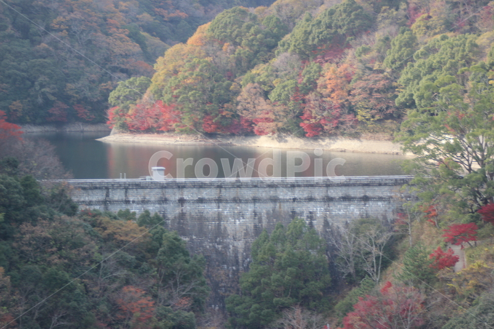 water,물,nature,자연,river,강,outdoors,옥외,자연,풍경,nature,landscape