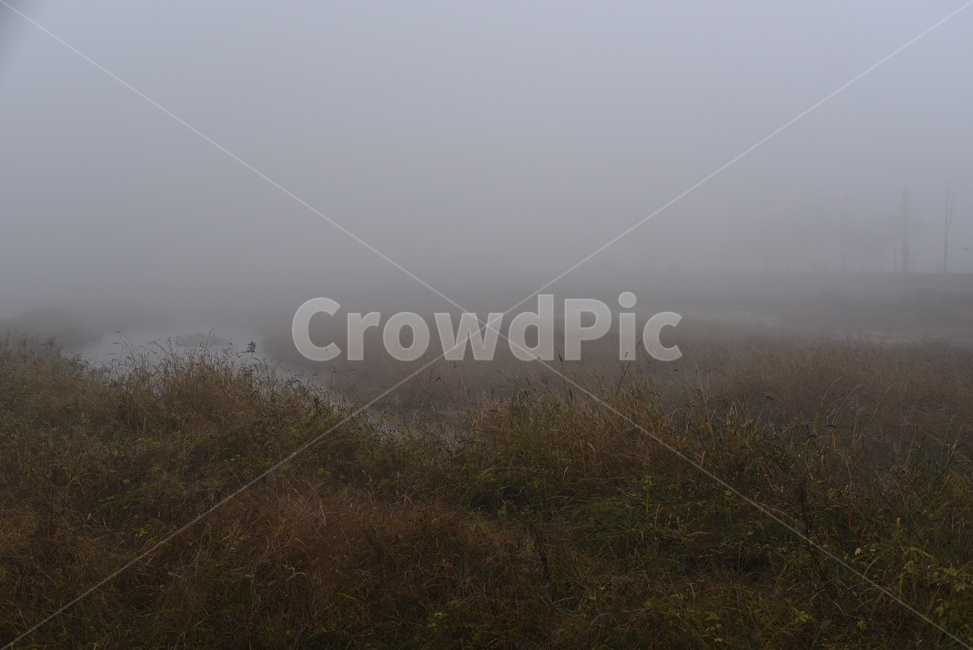 nature,자연,weather,날씨,가을,풍경,안개,fog,mist,자연,풍경,nature,landscape