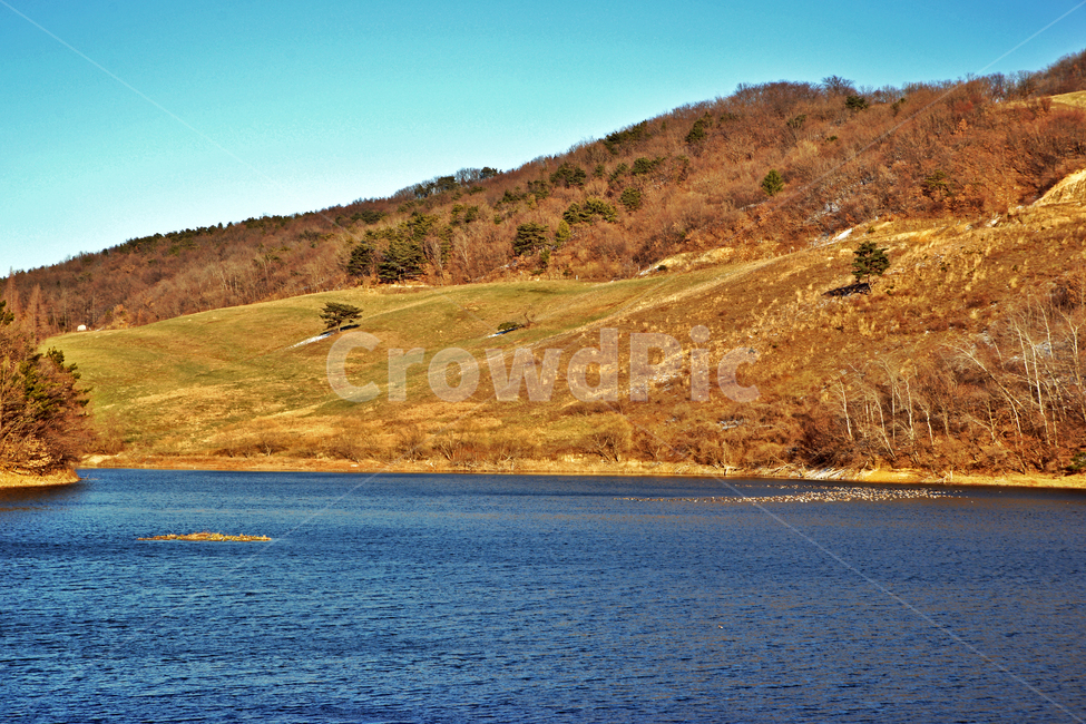 신창제,신창제저수지,서산,충청남도,저수지,야산,자연,자연,풍경,nature,landscape