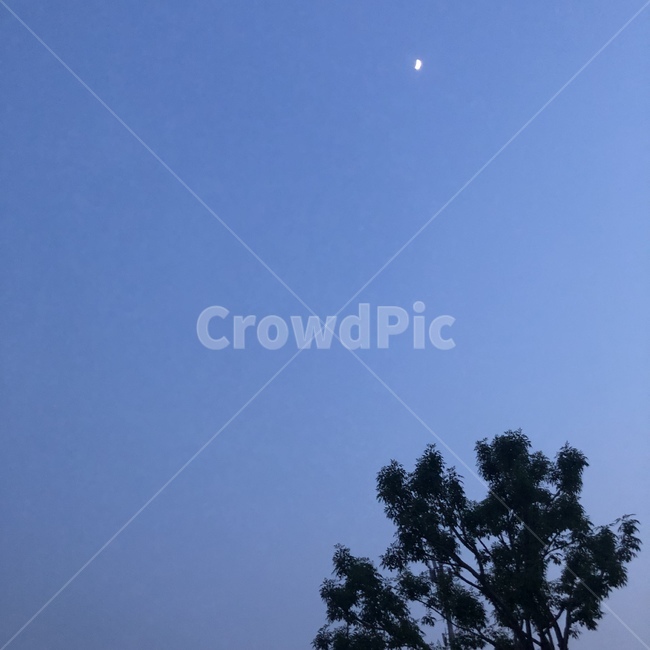 공원,산책,밤하늘,하늘,달,nature,자연,outdoors,자연,풍경,nature,landscape,옥외