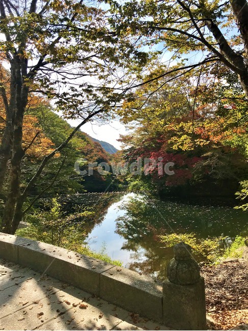 가을,단풍,계곡,정취,울긋불긋,자연,valley,bridge,가을,계절,fall,autumn,season,자연,풍경,nature,landscape,tree,나무,plant,식물,water,물,outdoors,옥외