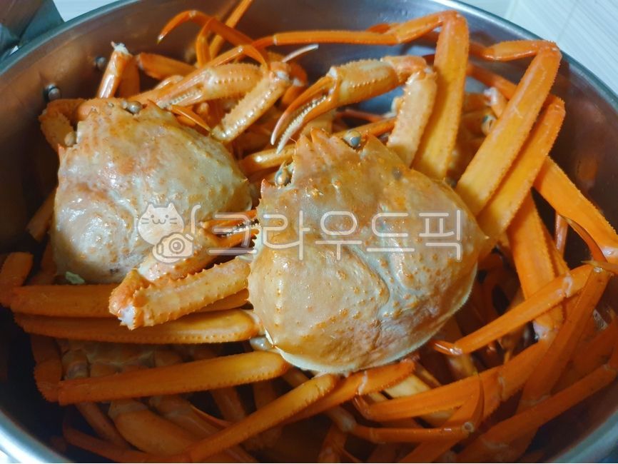 게, 대게, 대게찜, crab, 음식, 사진,이미지,일러스트,캘리그라피 - yes1004작가