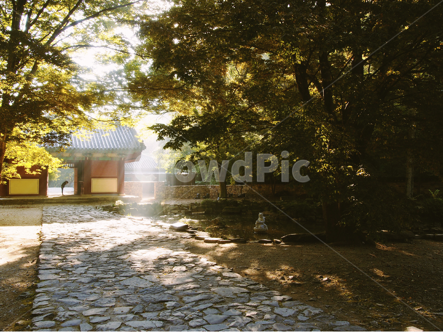 절,햇살,감성,내장산,사찰,풍경,가을,landscape,temple,fall,계절,자연,자연,풍경,nature,landscape,한국자연풍경,한국자연경관,korea nature landscape,한국전통,한국문화,korean traditional,korean culture,건축물,건물외관,exterior,building,structure,architecture,construction,path,통로,walkway,보도