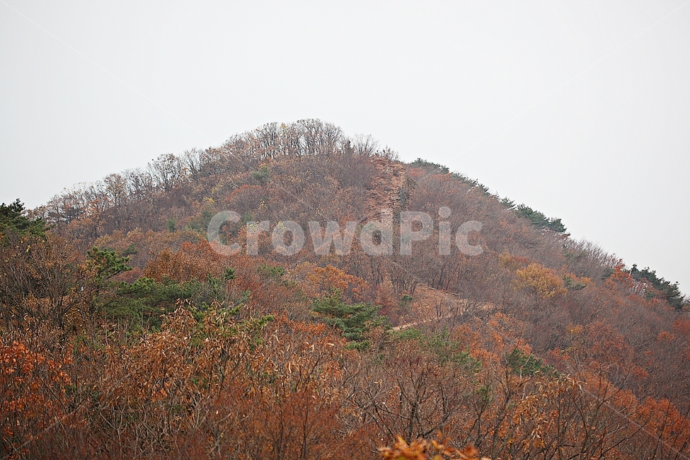 전등사,산성,성,성곽,길,둘레길,숲,숲길,담,돌담,가을,자연,풍경,식물,벽,방어벽,낙엽,단풍,가을,계절,fall,autumn,season,자연,풍경,nature,landscape