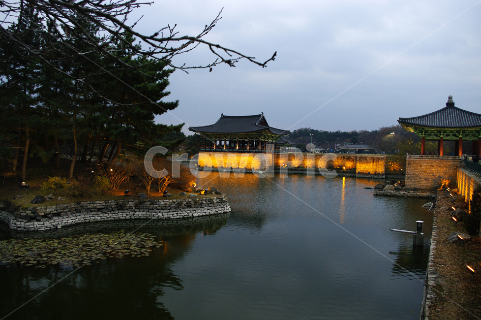 안압지,연못,경주,건축,지붕,traditional,전통,조명,빛,나무,야경,밤,풍경,nightscape,night,landscape,한국전통,한국문화,korean traditional,korean culture,랜드마크,landmark,tourist attraction,한국랜드마크,한국관광지,한국명소,korea landmark,korea tourist attraction,건축물,건물외관,exterior,building,structure,architecture,construction