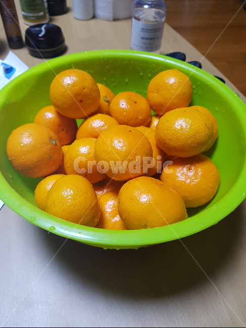 fruit,과일,감귤류과일,음식,plant,과일,열매,fruit