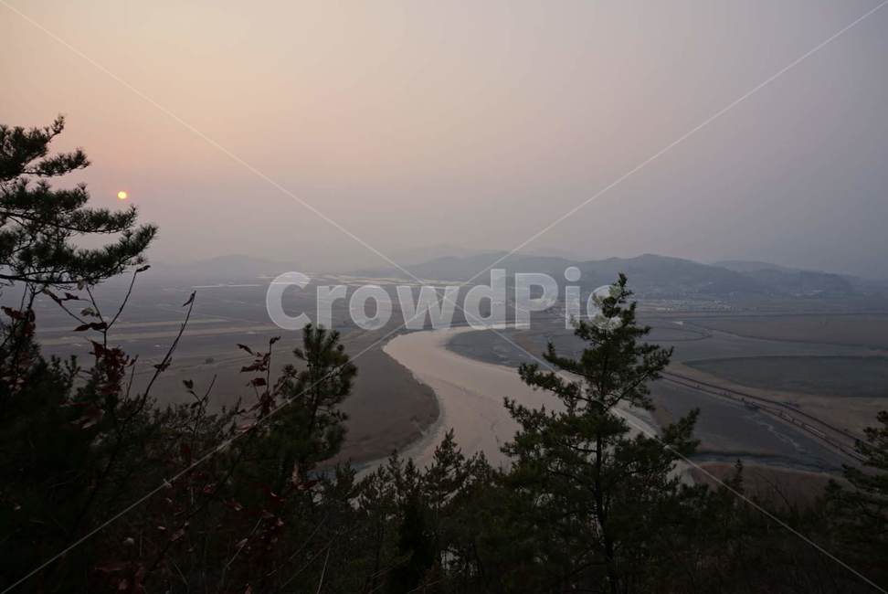 순천만,순천,자연,야경,전망대,자연,풍경,nature,landscape,tree,나무,plant,식물,fir,전나무
