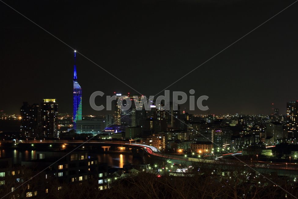 일본,후쿠오카,japan,fukuoka,야경,nightscape,후쿠오카타워,fukuokatower,야경,밤,풍경,nightscape,night,landscape,도시,city,해외,외국,세계,foreign,oversea,world,세계도시풍경,해외도시풍경,외국도시풍경,world cityscape