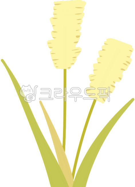 가을,가을분위기,갈대,강아지풀,가을풀,가을잎,가을잔디,잔디,가을갈대