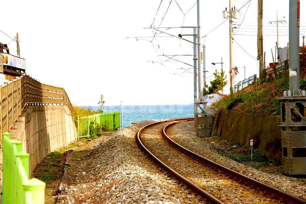 풍경,바닷가,기찻길,바닷가마을,정동진,교통,교통수단,traffic,transportation,rail,레일,train track,railway,철도,dirt road,흙길,gravel,자갈,road,도로
