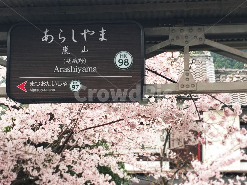 일본,지하철,표지판,일본어,벚꽃,봄,japan,cherryblossoms