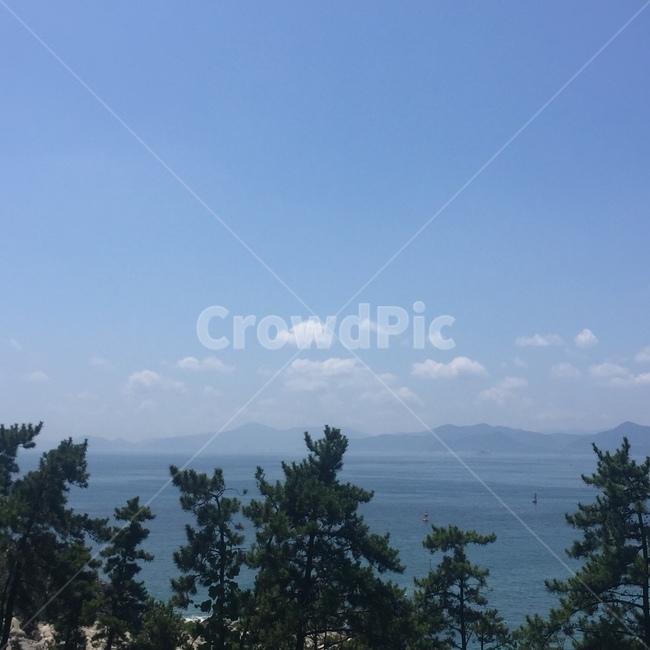 하늘,여유,자연,평화로움,구름