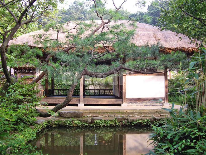 민속촌,민속마을,짚,연못,한국전통,전통,전통마을,한국문화,보존,한국의미,옛마을,village,nature,plant,자연,풍경,식물,korean,주거지,나무,traditional,culture,outdoors,전통정원,옥외,tree,정자