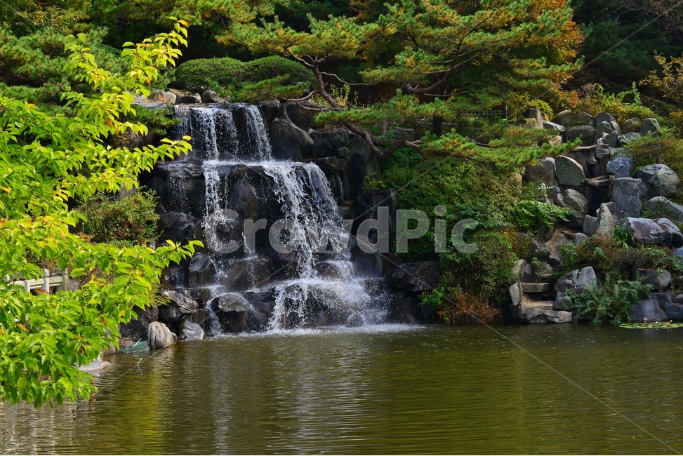 대전,국립대전현충원,현충원,현충지,연못,nature,자연,outdoors,옥외,leaf,잎,plant,식물,tree,나무,소풍,가을,계절,추색,추경,경치,경관,풍경,water,물,정자,현충지반영