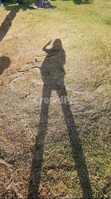 그림자,키다리,날씬,롱다리,잔디,사람,인물,인간,human,person,인물실루엣,사람실루엣,character silhouette,human silhouette,ground,바닥,gravel,자갈,dirt road,흙길,road,도로