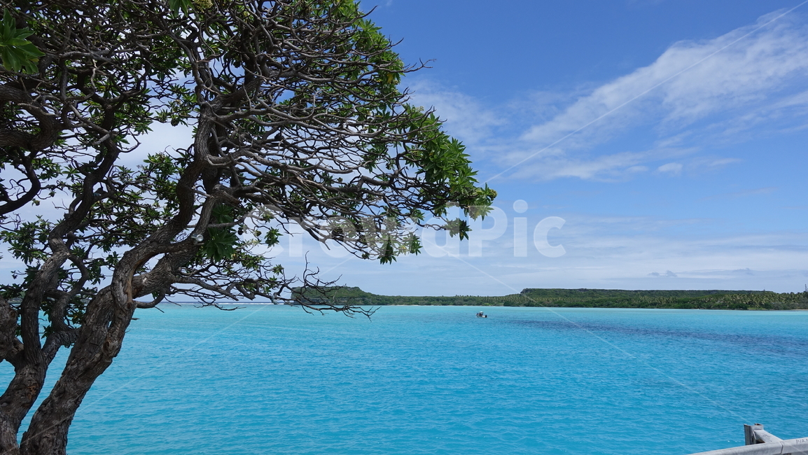 자연,nature,blue,에메랄드바다,바다,ocean,푸른색,푸른바다,휴양지,수평선,horizon,water,물,나무,tree,summer,여름,휴가,vacation,뉴칼레도니아