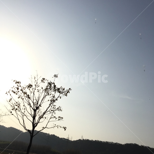 하늘,겨울,겨울나무,감성,감성사진