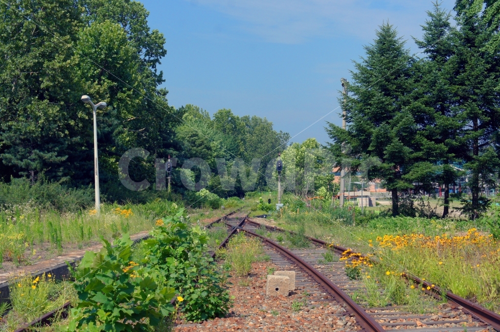 철길,여름,폐역,화랑역,풍경,자연,풍경,nature,landscape,교통,교통수단,traffic,transportation,railway,철도,rail,레일,train track,기찻길