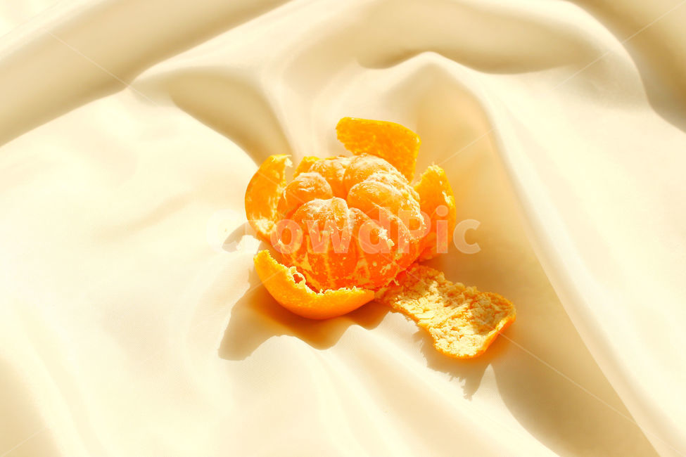 귤,과일,음식,식재료,컨셉,색감,주황,주황색,orange,요리,음식,식재료,요리,food,cook,meal,dishes,food reserves,과일,열매,fruit,색깔,색상,색채,색감,color sense,color sensitivity,feeling of color