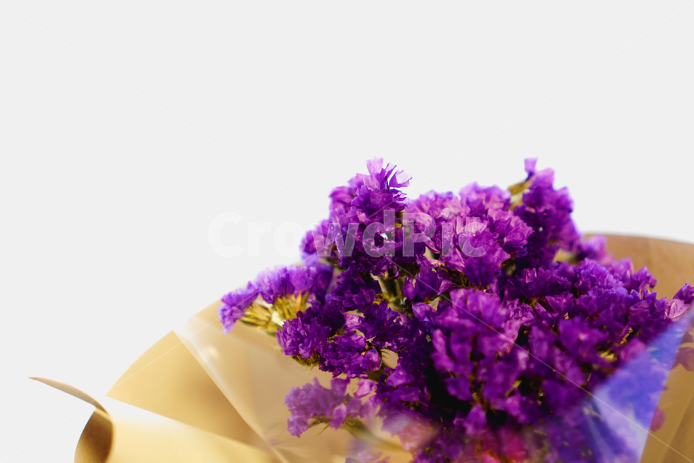 꽃,드라이플라워,보라색,꽃다발,선물,식물,자연,plants,nature,꽃,flower,기념일,축하,anniversary,congratulation,celebrate,celebration