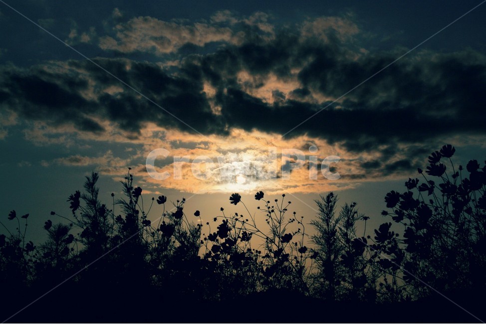 실루엣,구름,코스모스,해,태양,해질녘,자연,풍경,nature,landscape,light,빛,flare,플레어,sunlight,햇빛,outdoors,옥외