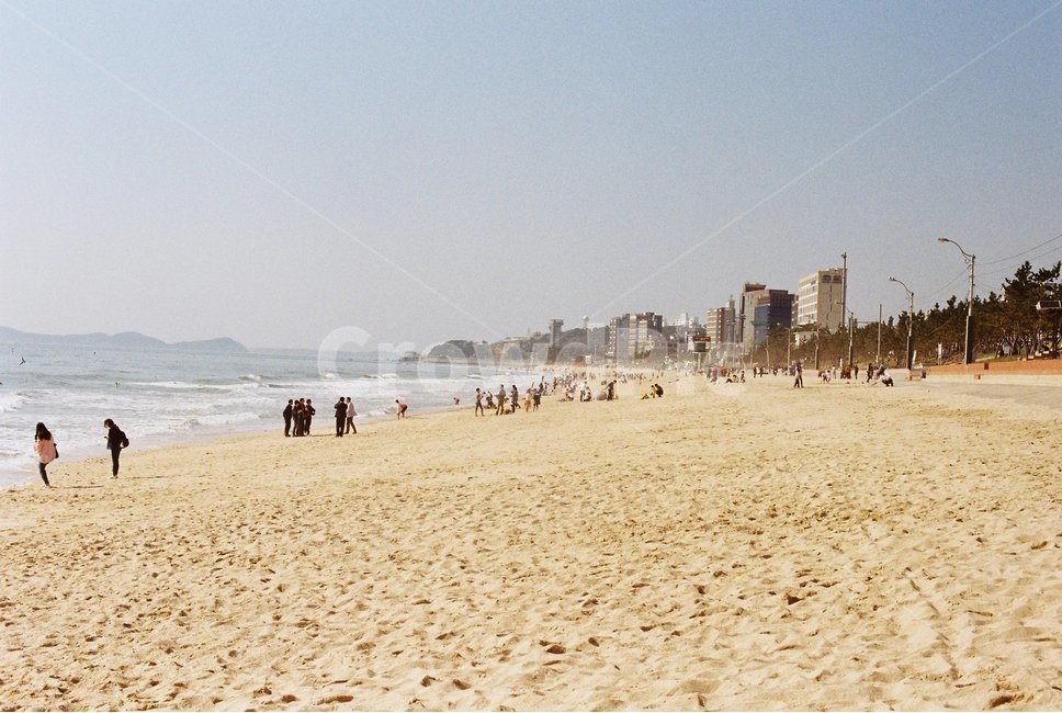 해변,백사장,대천,해수욕장,파도,해변,바다,beach,sea,사람들,대중,군중,other people,crowd