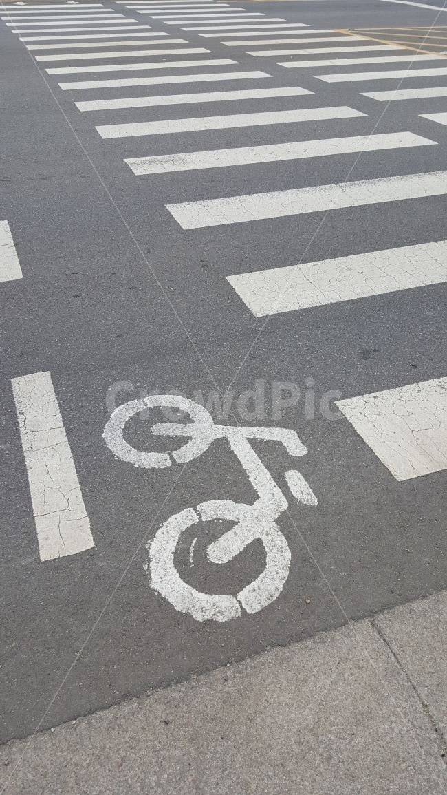 자전거도로,도로,횡단보도,찻길,신호대기,자전거,길,표지판,안내선,사인,사인물,픽토그램,교통,교통수단,traffic,transportation,asphalt,아스팔트,road