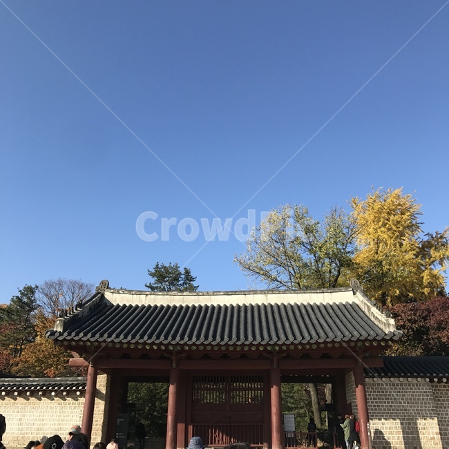 한국,전통,하늘,구름,가을