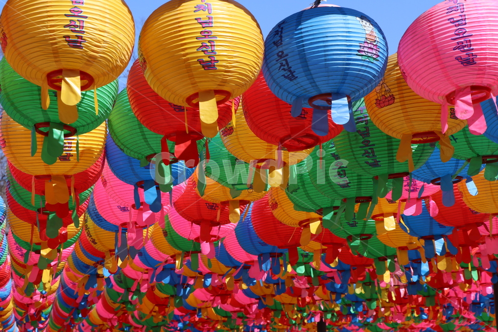연등,절,불교,석가탄신일,스님,사찰,종교,종교,신앙,religion,belief,faith