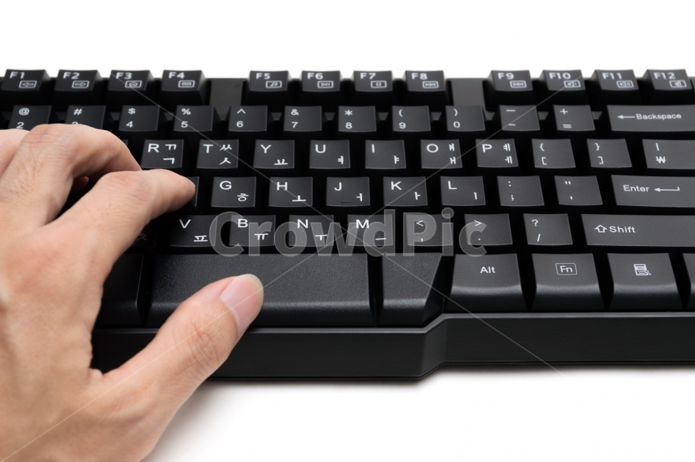 키보드,컴퓨터,손,키패드,데스크탑,인터넷,자판,엔터,비즈니스,비지니스,버튼,컨셉,컨셉트,콘셉,콘셉트,키,온라인,흰,흰색,화이트,타자,글자,숫자,기호,영어,장비,설비,사무실,오피스,문서,작성,업무,일,서류,기기,네트워크,클로즈업,배열,흰배경,배경분리,피씨,오브젝트,pc,검은,검정,검은색,검정색,블랙,흑색,아이콘,네트워킹,네트웍,서버,사이트,싸이트,하드웨어,소프트웨어,시스템,체계,기술,테크놀로지,도구,웹,누끼,사람,인물,인간,human,person,신체일부,몸,body,정보통신기술,전자기기,전자제품,it,information,technology,electronic equipment,비즈니스,사업,business,service,work,사물,물건,오브젝트,thing,object,matter