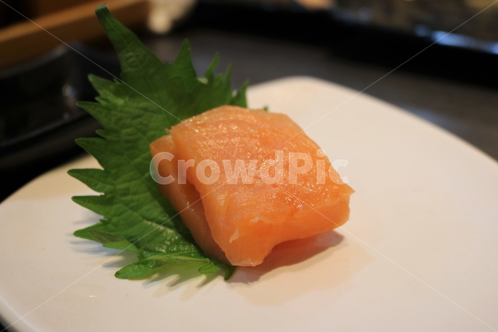 연어,먹방,접시,fish,색감,식감