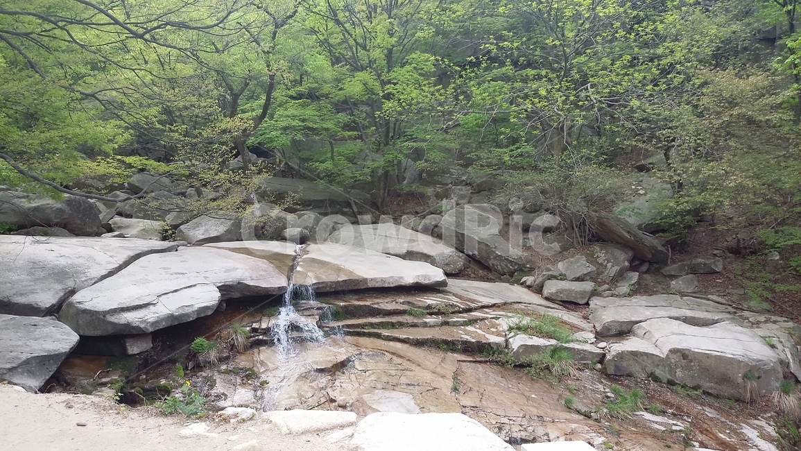 산,계곡,여름,계절,숲,나무