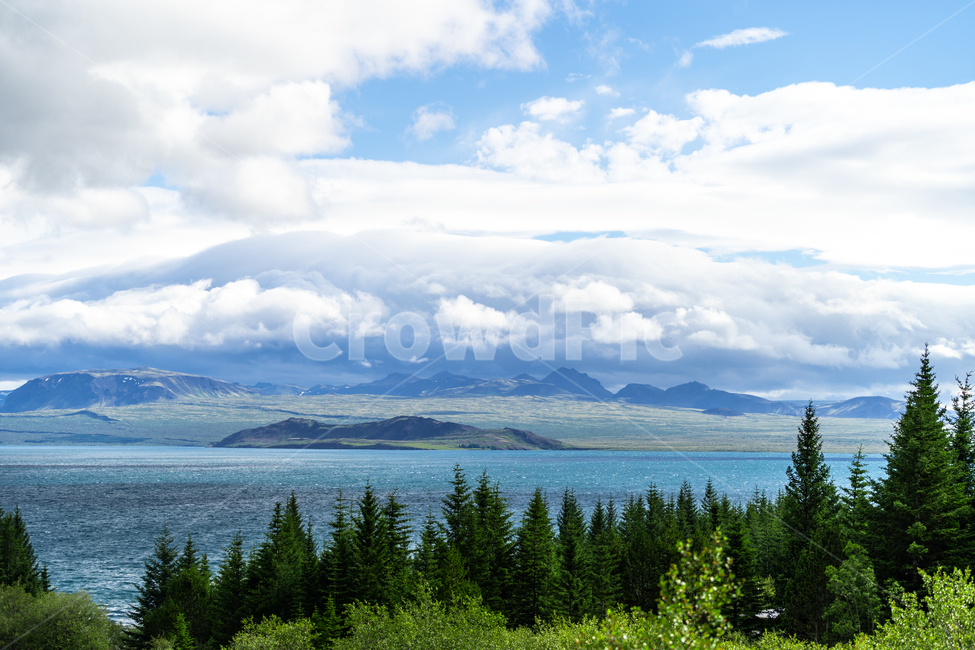 아이슬란드,에어비엔비,자연,호수,iceland,자연,풍경,nature,landscape,tree,나무,plant,식물,fir,전나무