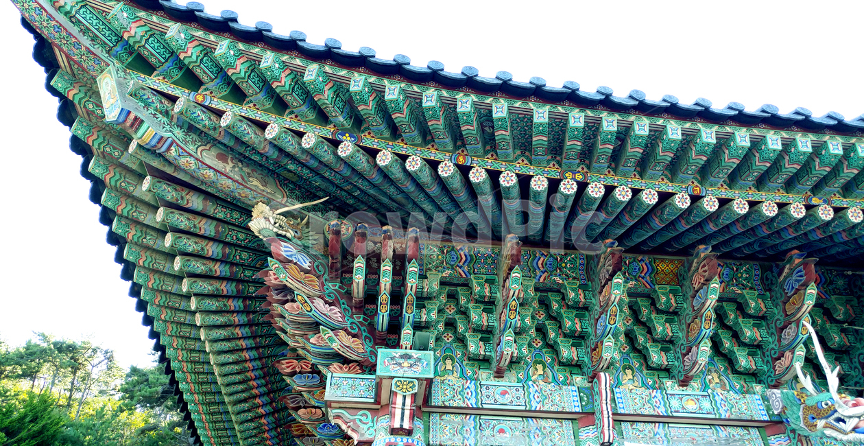 건물,architecture,건축물,building,단청,절,사찰,지붕,koreantraditionalpattern,traditionalpattern,pattern