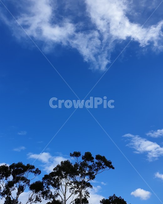 하늘,구름,파란,맑음,날씨,스카이,자연,풍경,nature,landscape,outdoors,옥외,sky,azure sky,푸른 하늘