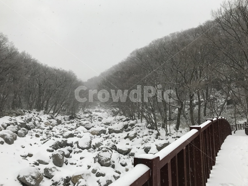 겨울산,한라산,등산로,산책로,겨울,폭설,눈,산행,겨울산행,겨울,계절,winter,season,자연,풍경,nature,landscape,railing,난간,banister,handrail