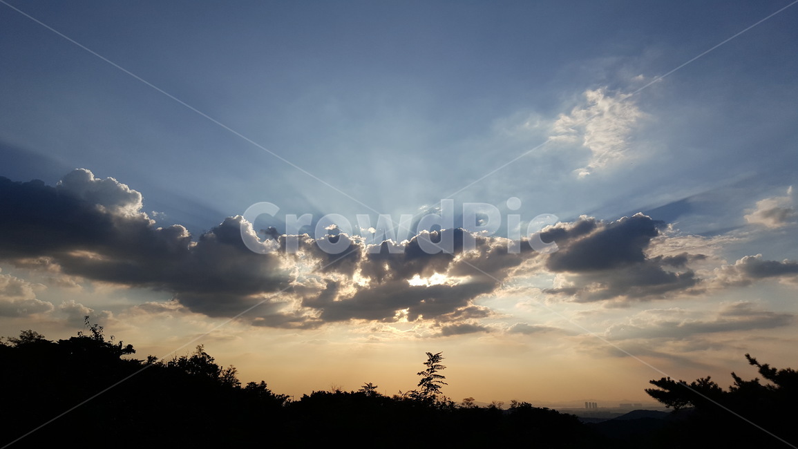 nature,자연,outdoors,옥외,sunlight,햇빛