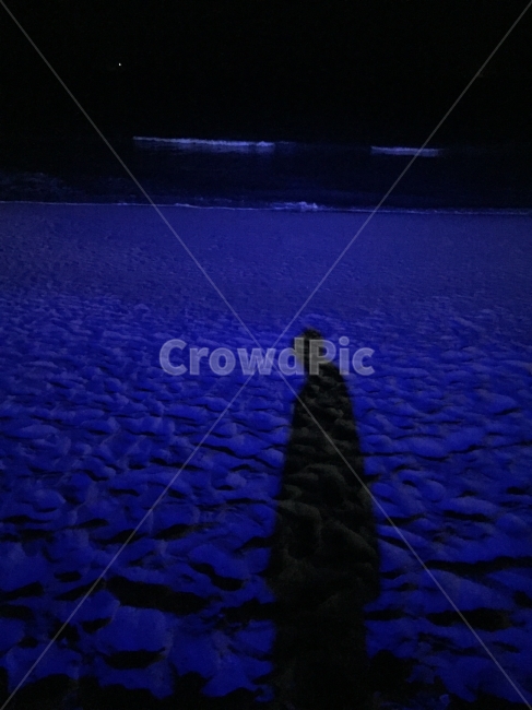 부산,해변,밤바다,파란색,그림자,해변,바다,beach,sea,야경,밤,풍경,nightscape,night,landscape,인물실루엣,사람실루엣,character silhouette,human silhouette,outdoors,옥외,nature,자연