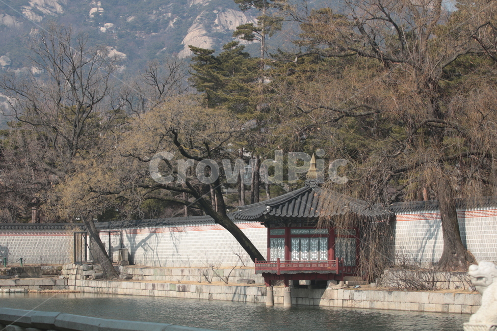 하양정,경복궁,풍경,궁궐,나무,한국전통,한국문화,korean traditional,korean culture,랜드마크,landmark,tourist attraction,한국랜드마크,한국관광지,한국명소,korea landmark,korea tourist attraction