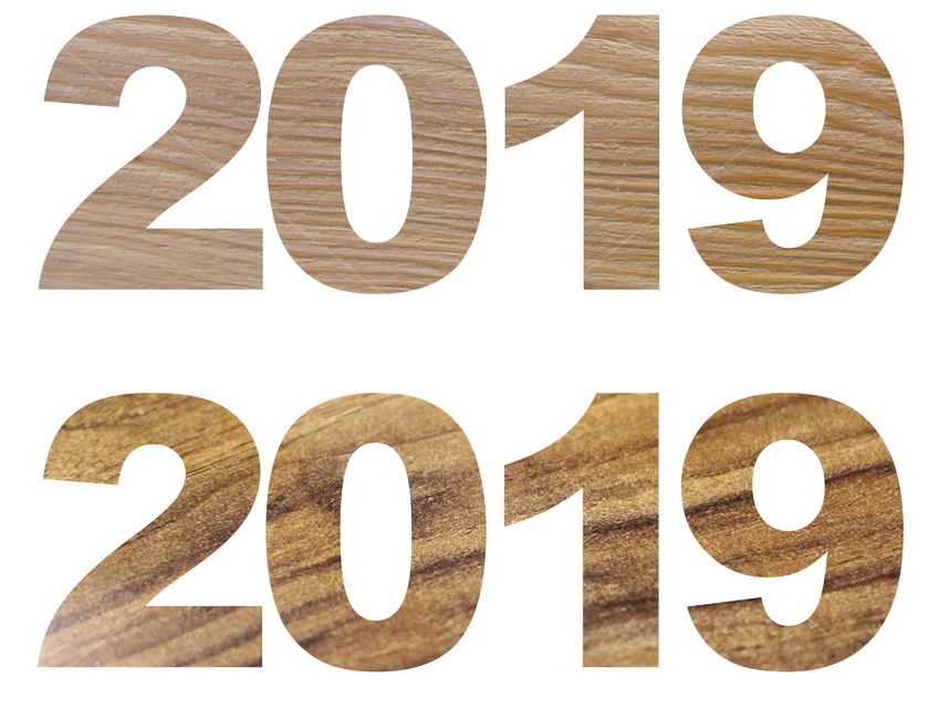 2019년,숫자,나무무늬,새해,2019,그래픽,일러스트레이션,graphic,illustration
