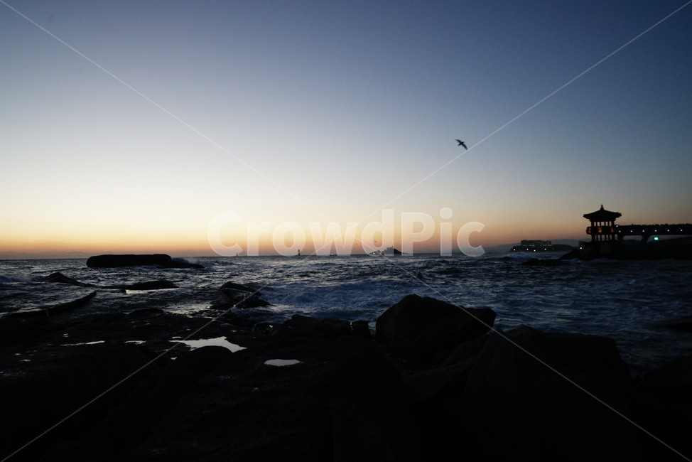 일출,2018,새해,근하신년,영금정,파도,바다,새해소망,소원,자연,풍경,nature,landscape,animal,동물,bird,새,outdoors,옥외,architecture,건축물,building,건물,promontory,곶