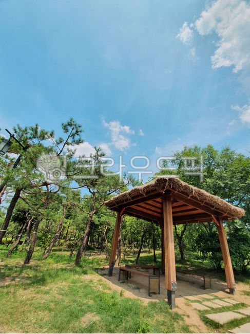 porch,현관,patio,안마당,원두막,풍경,여름,맑음,햇빛,구름,하늘,나무,숲,풀,땅,계절,쉼터,더위,남산,한옥마을