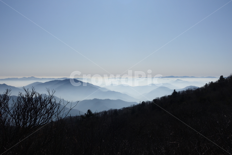 발왕산,산,정상,운무,안개,몽환적인,실루엣,자연,야외,풍경,자연,풍경,nature,landscape