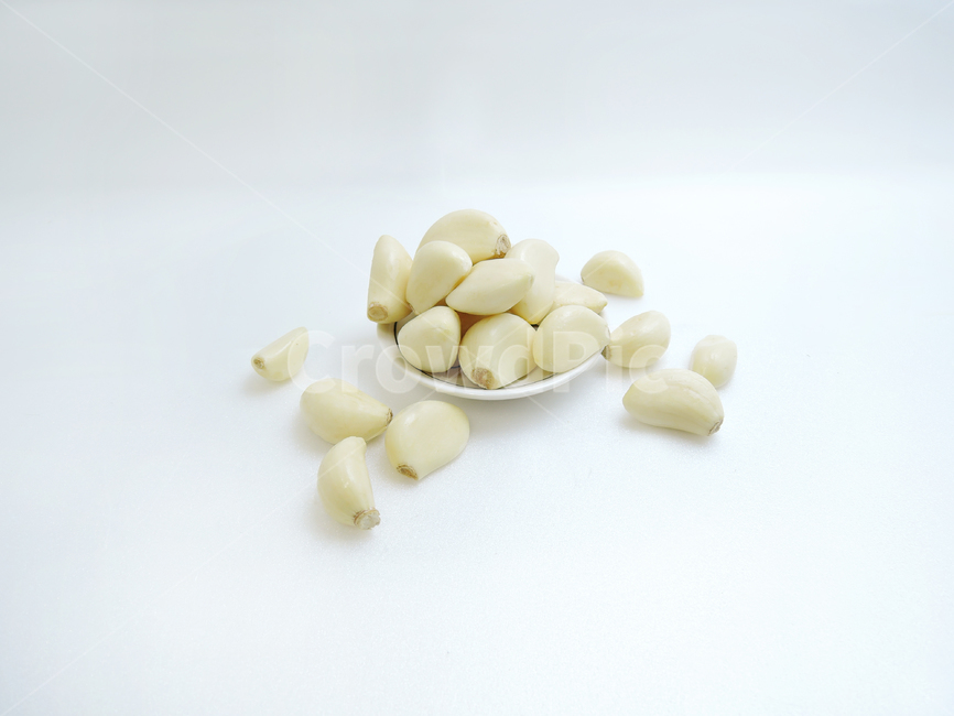 plant,식물,마늘,garlic,음식,food,식재료